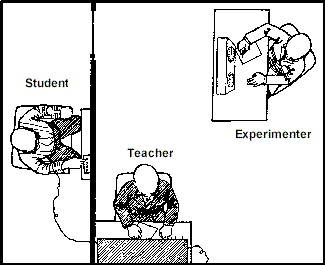 The layout used for the experiment